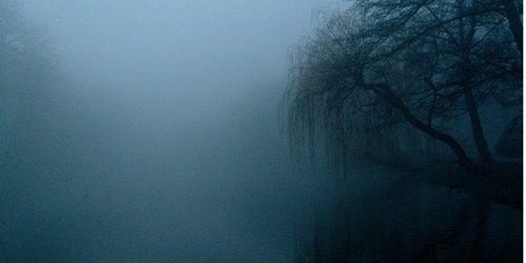 あなたの闇診断 トイダス 無料でクイズ 診断ができる 作れる 投票作成も簡単便利