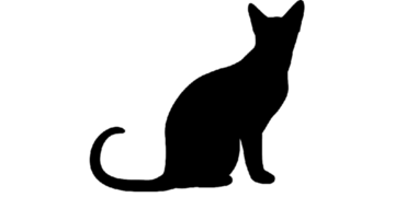 猫種診断 あなたの猫ちゃんは何系の猫ちゃん トイダス 無料でクイズ 診断ができる 作れる 投票作成も簡単便利